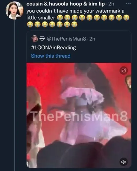 Tiny Watermark Gets Roasted
