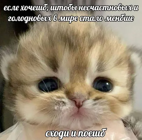 Если хочешь меньше голодных