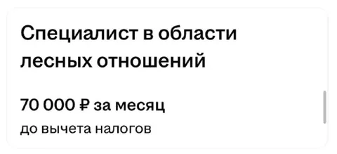 Специалист по лесным отношениям