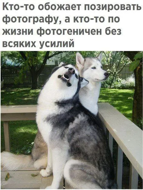 Фотогеничен без всяких усилий