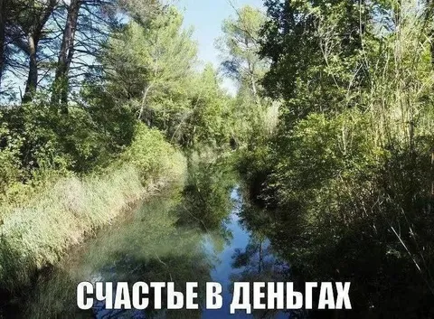 Счастье в деньгах