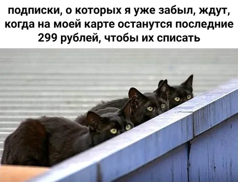 Забытые подписки ждут списания
