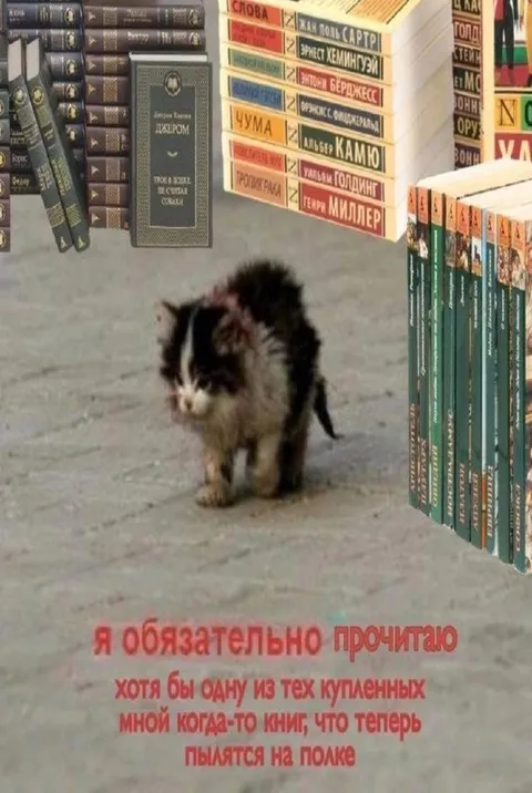 Кот и непрочитанные книги