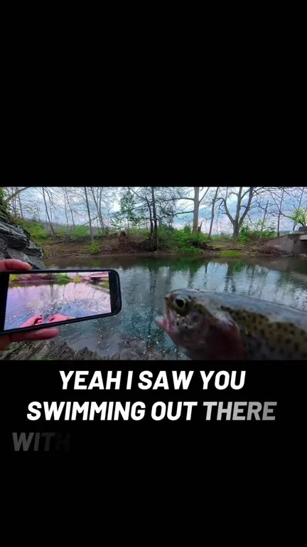 Fish Catches You Filming