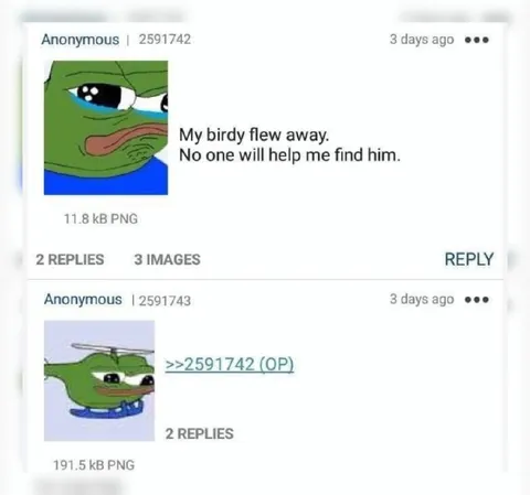 Pepe's Birdy Flew Away