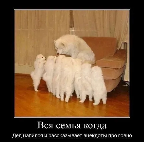 Семья слушает дедовы анекдоты