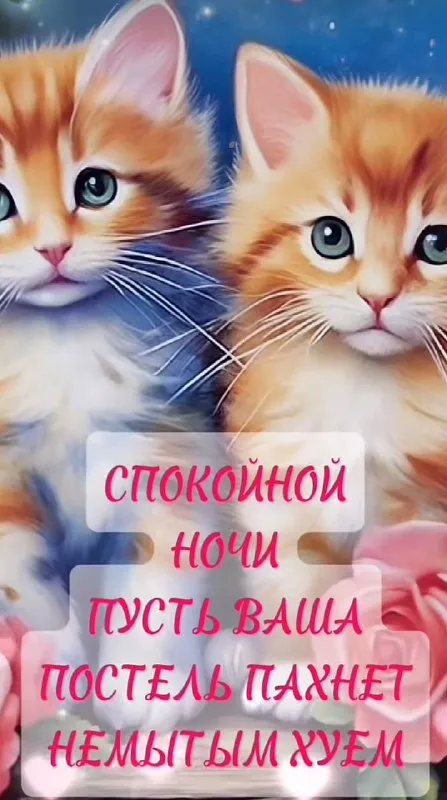 Спокойной ночи с сюрпризом