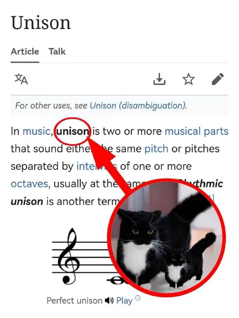 Unison Cats Singing Together