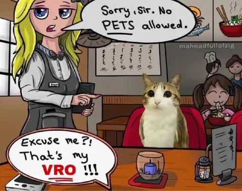 That's My VRO Cat