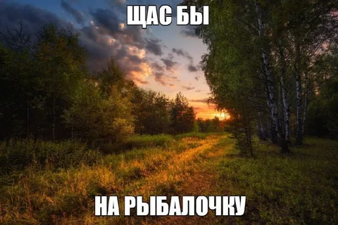 Щас бы на рыбалочку