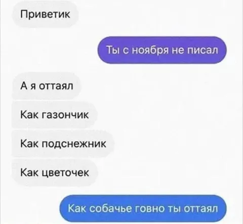Как собачье говно ты оттаял