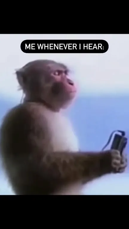 Monkey Hears Something About Us