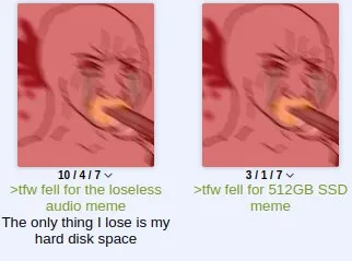 The Only Thing I Lose Is Disk Space