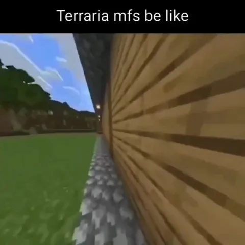 Terraria Players Building Sideways Houses