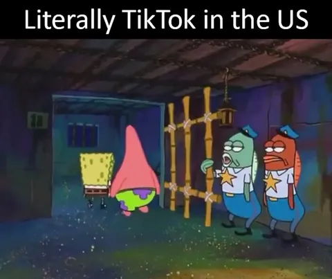 Literally TikTok in the US