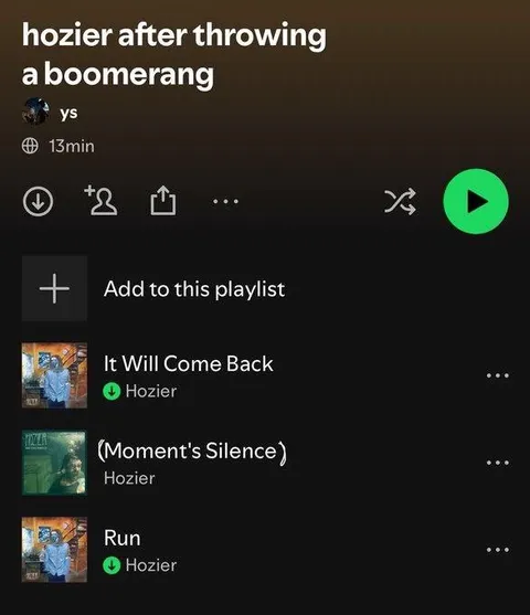 Hozier Throws a Boomerang