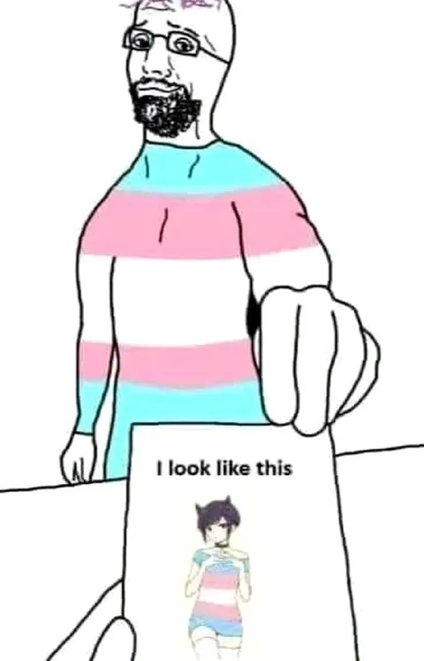 I Look Like This Trans Flag Meme