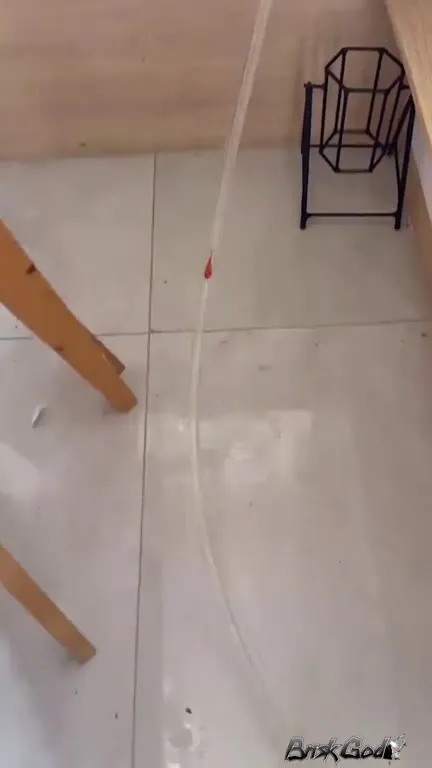 Goldfish Escapes Through a Tube