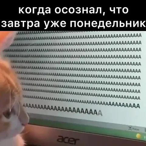 Когда завтра уже понедельник