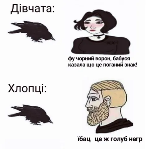 Дівчата і хлопці про чорного птаха