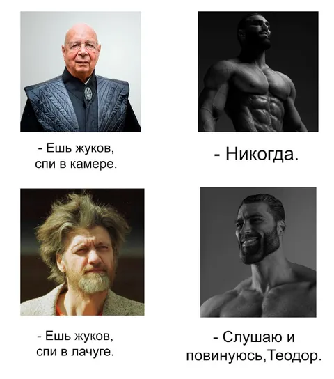 Ешь жуков, спи в камере