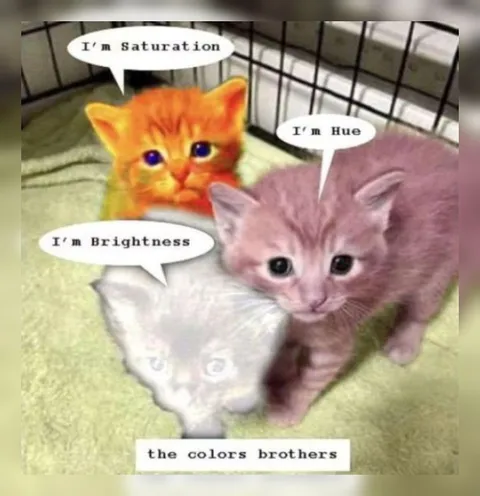 The Colors Brothers