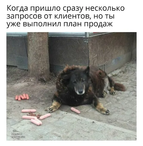 План продаж уже выполнен