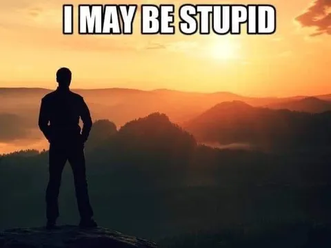 I May Be Stupid Sunset