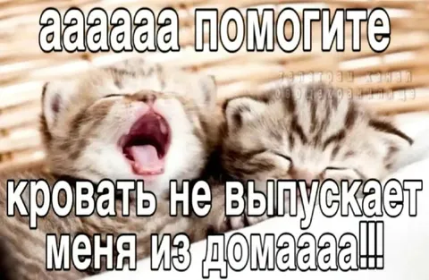 Кровать не выпускает из дома