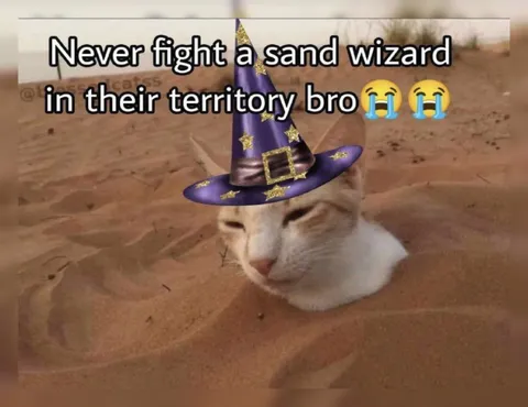 Sand Wizard Cat Territory