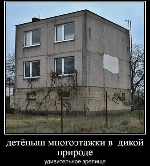 Детёныш многоэтажки в дикой природе