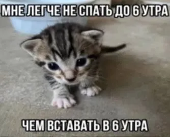 Котёнок не спит до утра