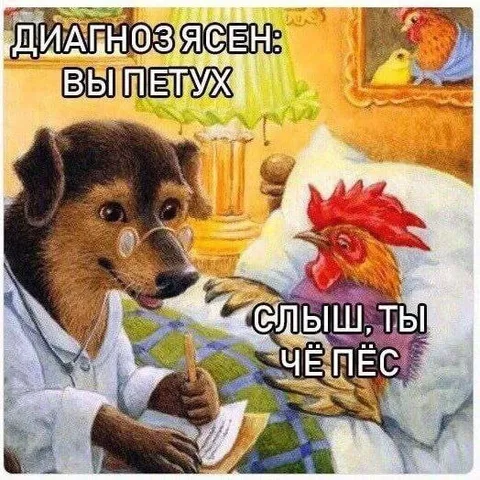 Диагноз ясен: вы петух