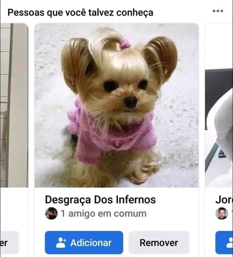 Desgraça dos infernos fofa