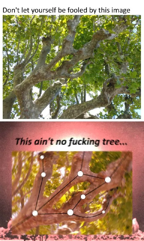 This Ain't No Fucking Tree