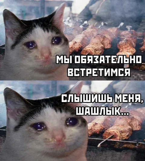 Мы обязательно встретимся, шашлык