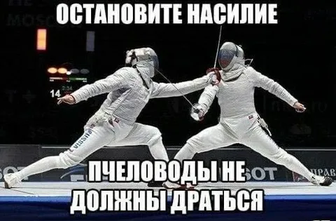 Пчеловоды не должны драться