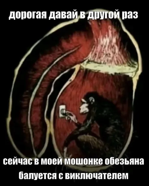 Обезьяна в мошонке с выключателем