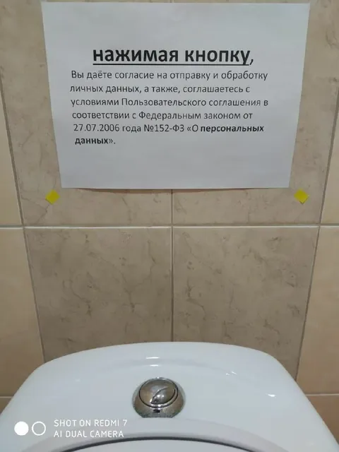 Кнопка согласия на унитазе