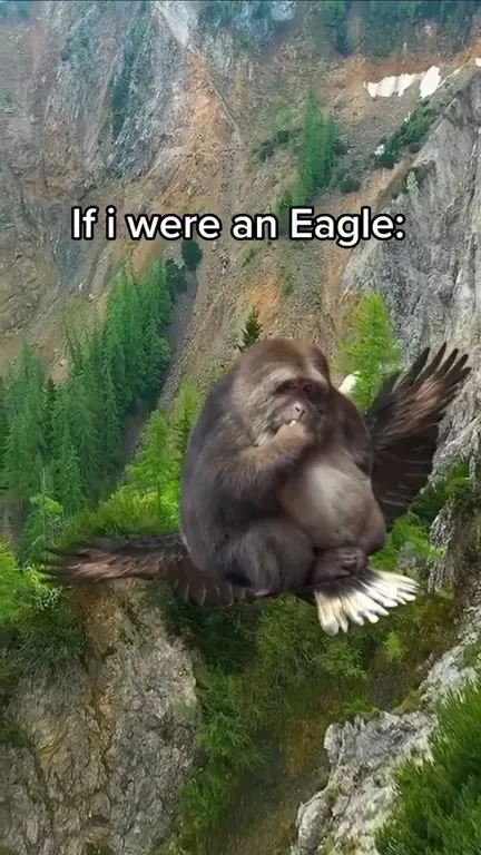 If I Were an Eagle
