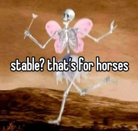 Stable? That's for Horses