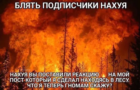Пост из леса с огненной реакцией