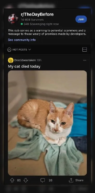 My Cat Died Today