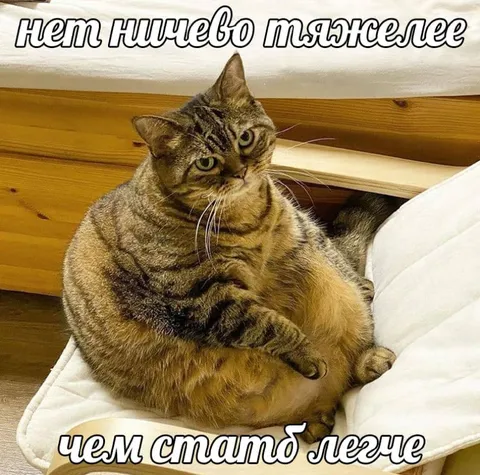 Нет ничего тяжелее, чем стать легче