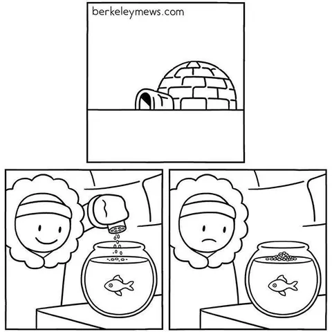Рыбка в иглу