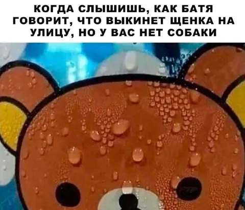 Когда у тебя нет собаки