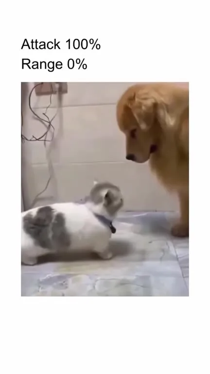 Attack 100% Range 0%