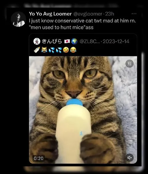 Cat Drinks From Baby Bottle