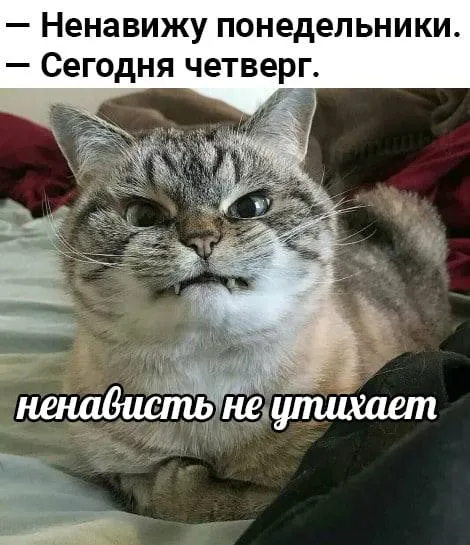 Ненависть не утихает