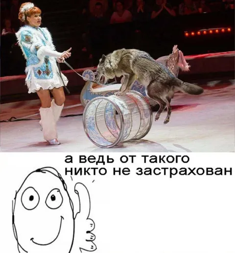 Никто не застрахован от такого